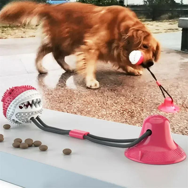 Suction Ball Interactive Dog Toy - Pets Best shop