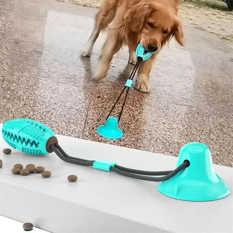 Suction Ball Interactive Dog Toy - Pets Best shop
