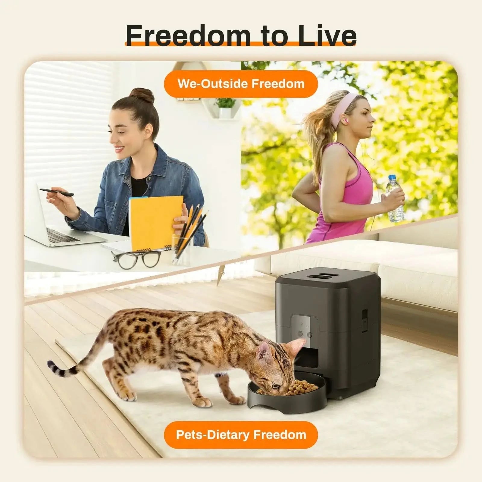 Pet Intelligent Timing Quantitative Remote Automatic Pet Feeder My Store
