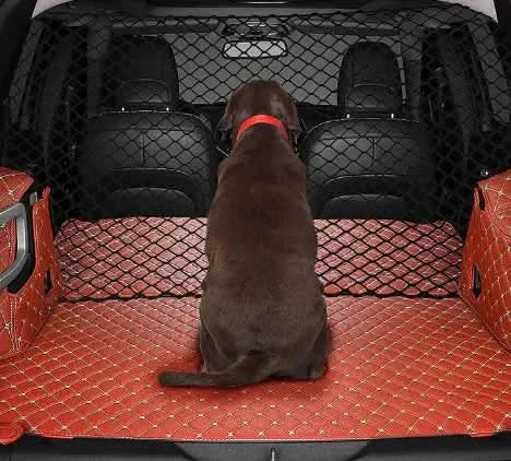Car Pet Isolation Net - Popular Pet Product in Stock My Store