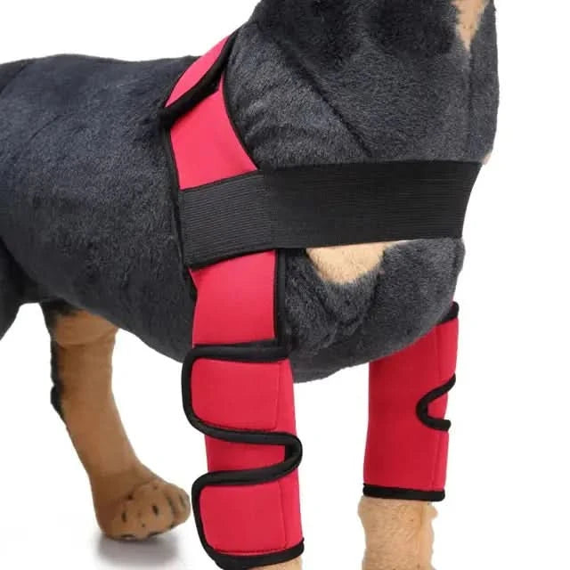 Dog Knee Brace and Leg Protector for Injury Recovery My Store