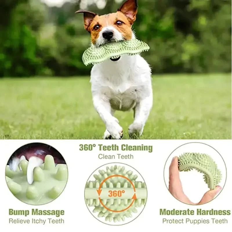 Bite-Resistant Dog Toy Ball for Interactive Chewing My Store