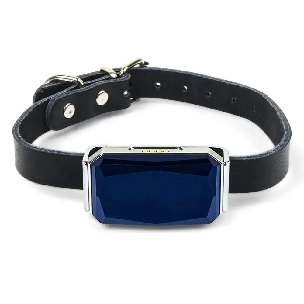 GPS Pet Tracker Collar for Lost Pet Location Tracking My Store