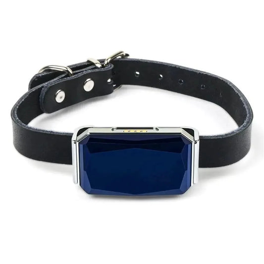 GPS Pet Tracker Collar for Lost Pet Location Tracking My Store