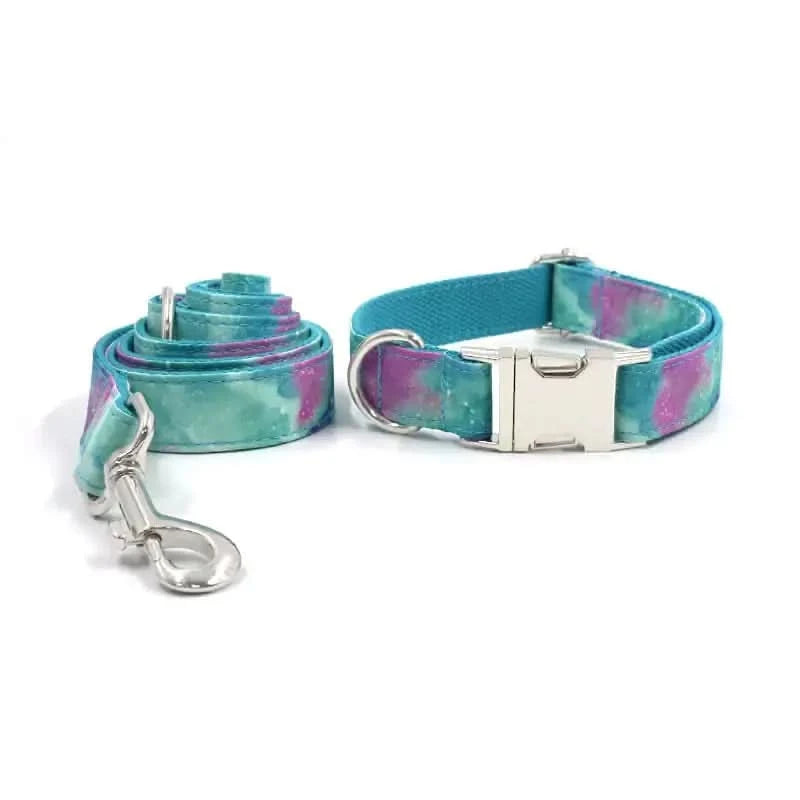 Durable Dog Collar with Traction Belt for Foreign Trade My Store
