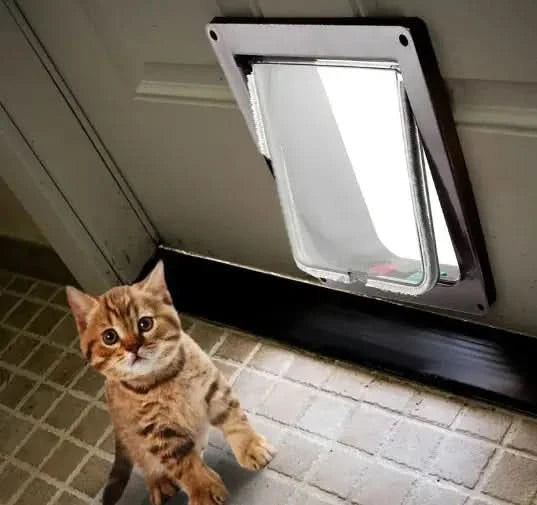 Lockable Pet Door My Store