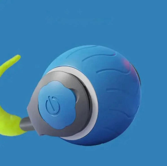 Pet Ball Toy My Store