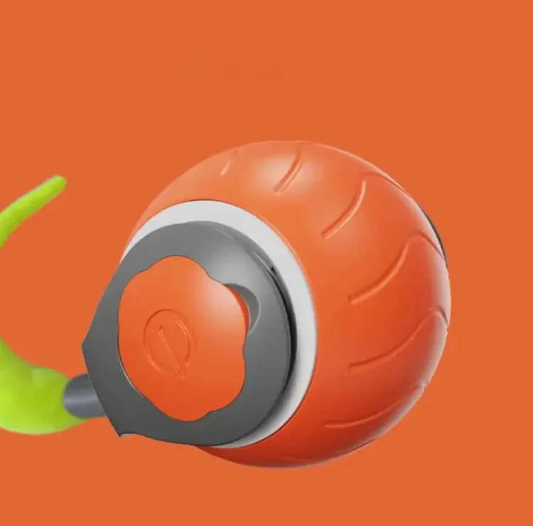 Pet Ball Toy My Store