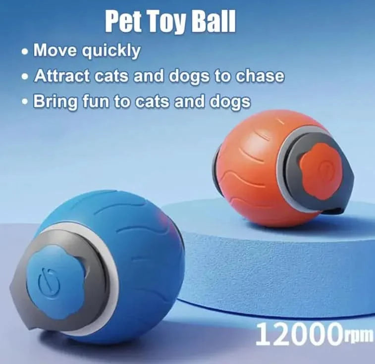 Pet Ball Toy My Store