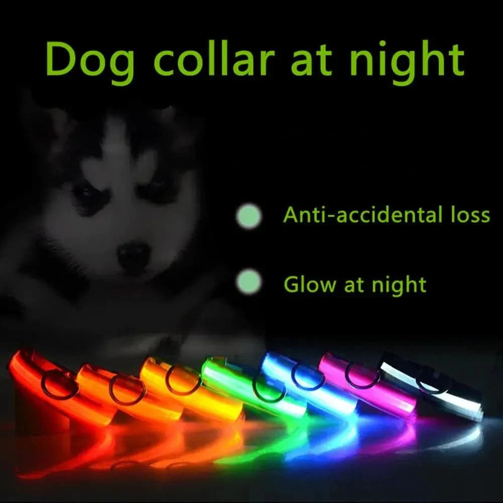 LED Adjustable Dog Collar Blinking Flashing Light Up Glow Pets Safety Waterproof - Pets Best shop