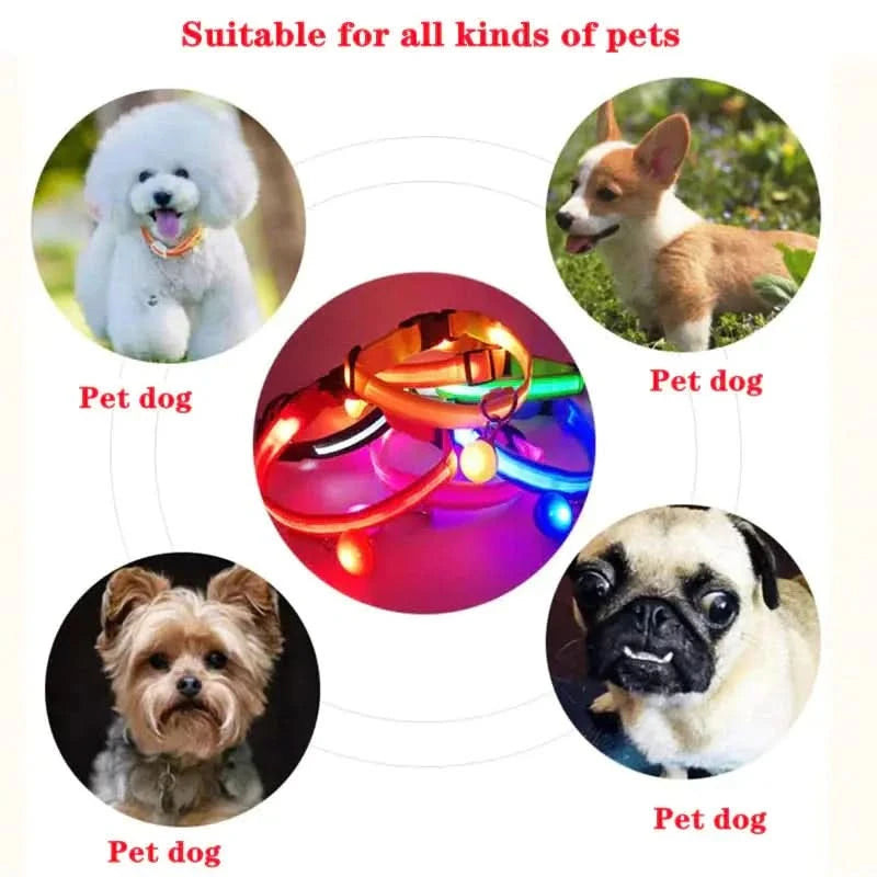 LED Adjustable Dog Collar Blinking Flashing Light Up Glow Pets Safety Waterproof - Pets Best shop