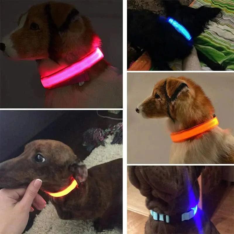 LED Adjustable Dog Collar Blinking Flashing Light Up Glow Pets Safety Waterproof - Pets Best shop