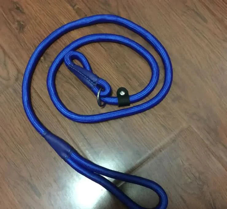 Dog Leash, Pet Traction Rope, Pet P Chain Lead My Store
