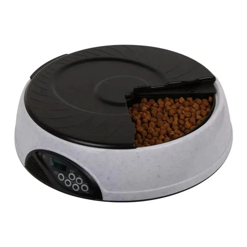 Automatic Pet Feeder with Pet Bowls My Store