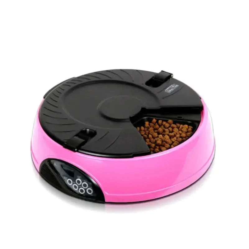 Automatic Pet Feeder with Pet Bowls My Store