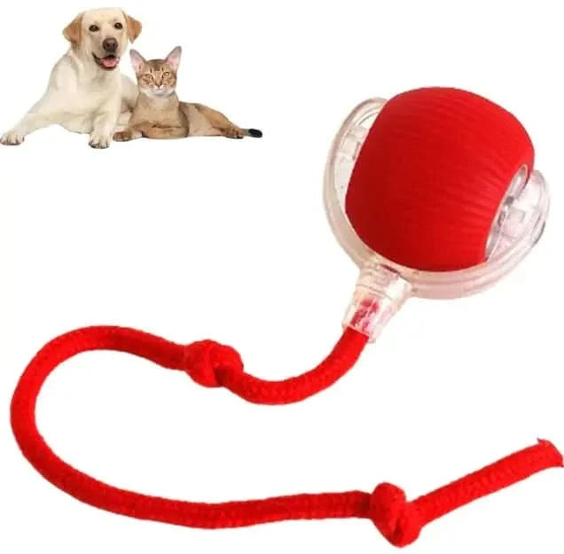 Smart Rolling Pet Ball My Store