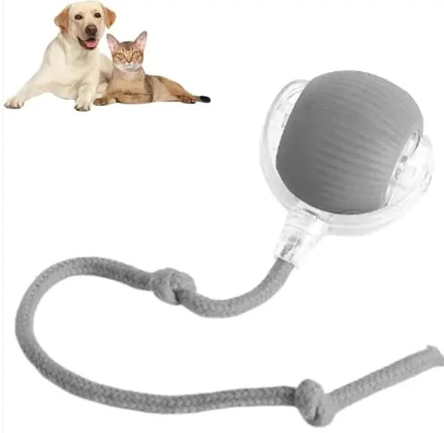 Smart Rolling Pet Ball My Store