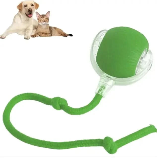 Smart Rolling Pet Ball My Store