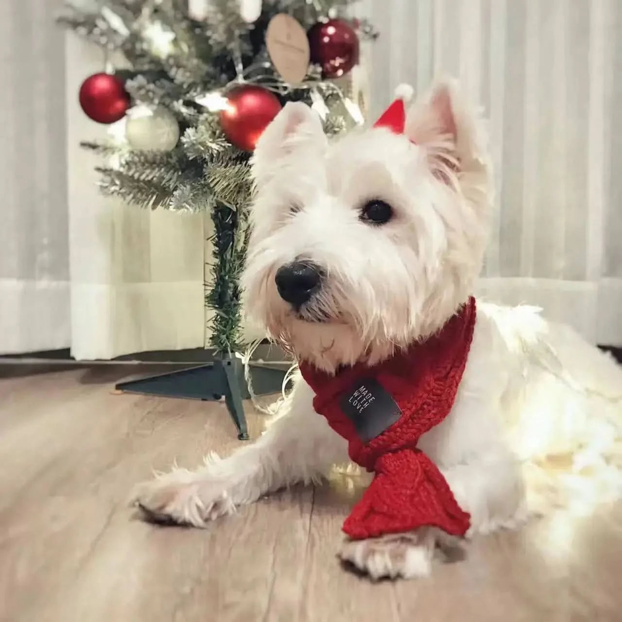Thick Warm Scarf for Dogs - Cute Pet Scarf My Store