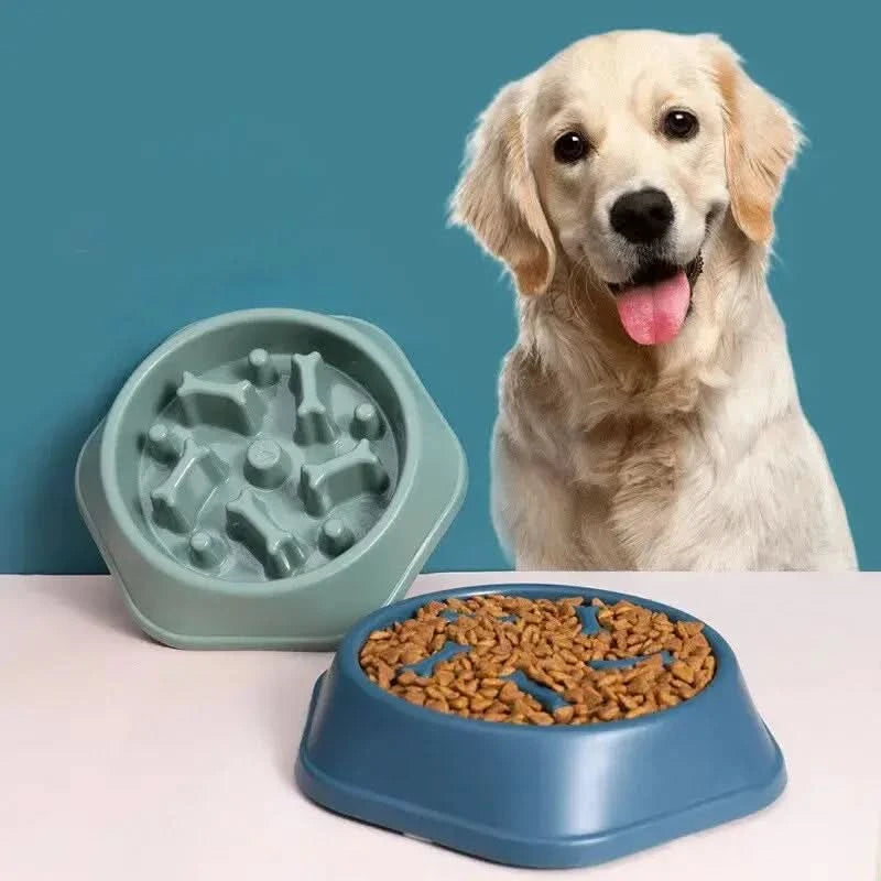 Slow Feeder Pet Bowl My Store