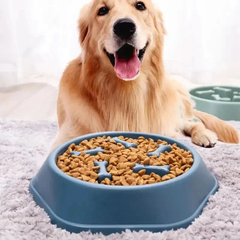 Slow Feeder Pet Bowl My Store