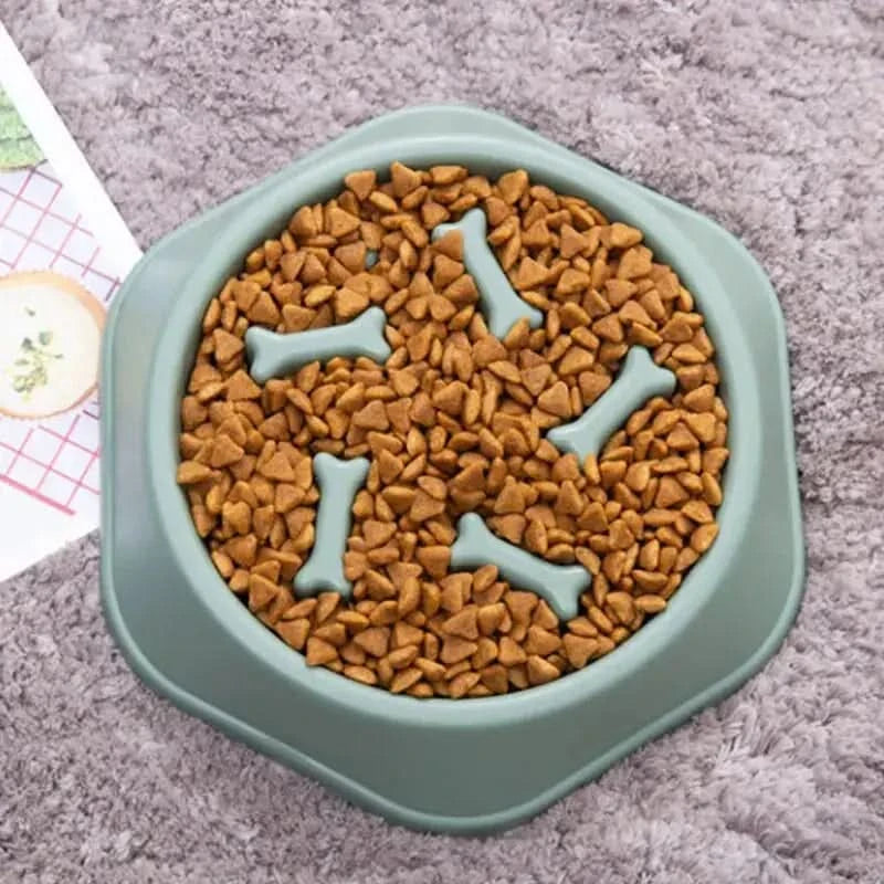 Slow Feeder Pet Bowl My Store