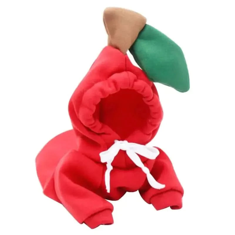 Chihuahua Plush Pet Clothing for Autumn and Winter My Store