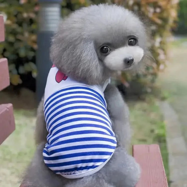 Striped Print Costume for Small Teddy Poodle Pomeranian My Store