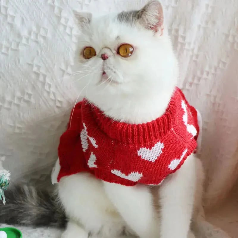 Festive Princess Dress Sweater for Dogs at Christmas My Store