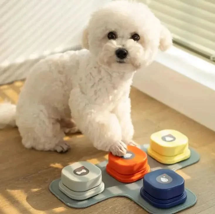 Pet Toy My Store