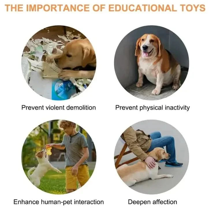 Pet Toy My Store
