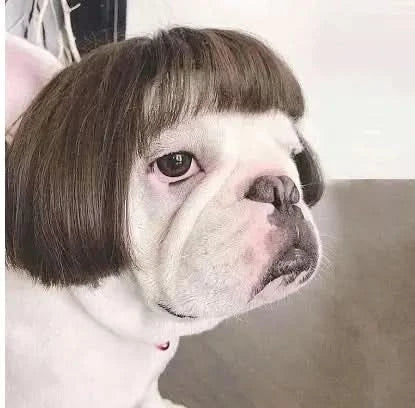 Toshomono Wig Cosplay Tool for Costumes My Store