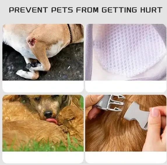 Dogs Knee Protector Pad My Store