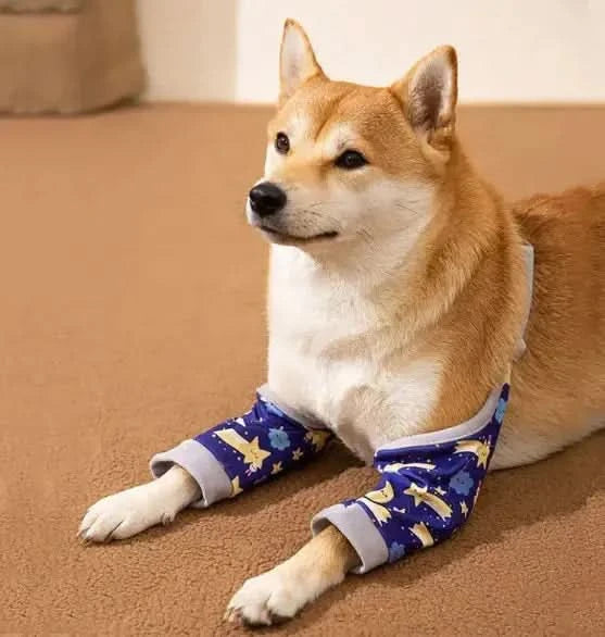 Dogs Knee Protector Pad My Store