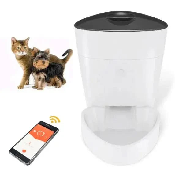 Pet Feeder My Store