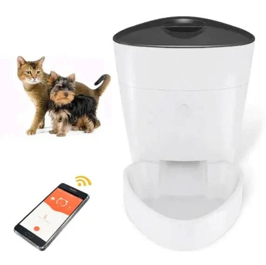 Pet Feeder My Store