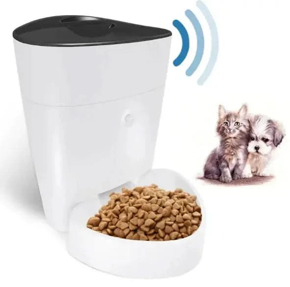 Pet Feeder My Store