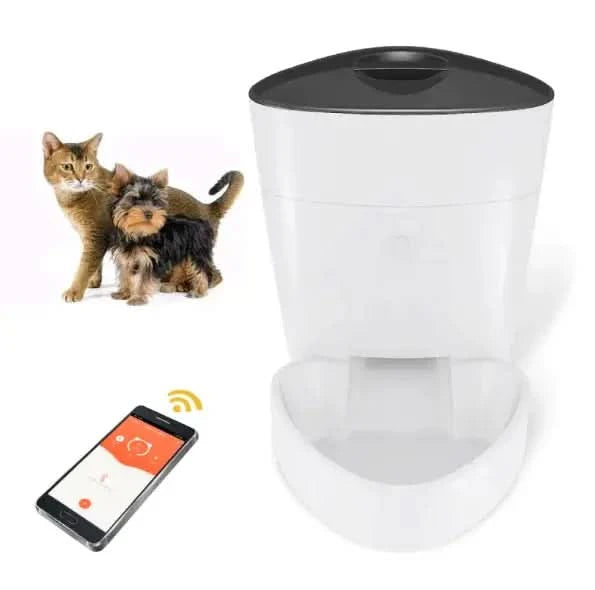 Pet Feeder My Store