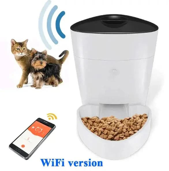 Pet Feeder My Store