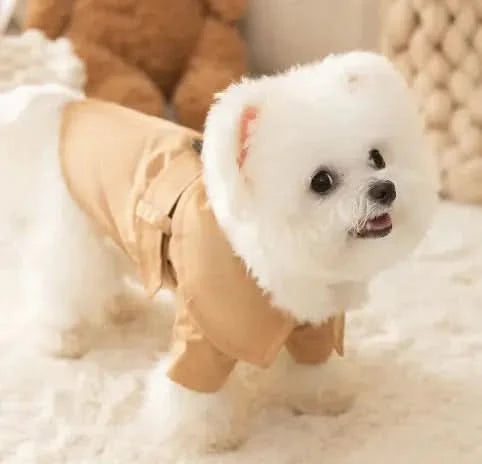 British Trench Coat for Dogs - Summer Pet Apparel My Store
