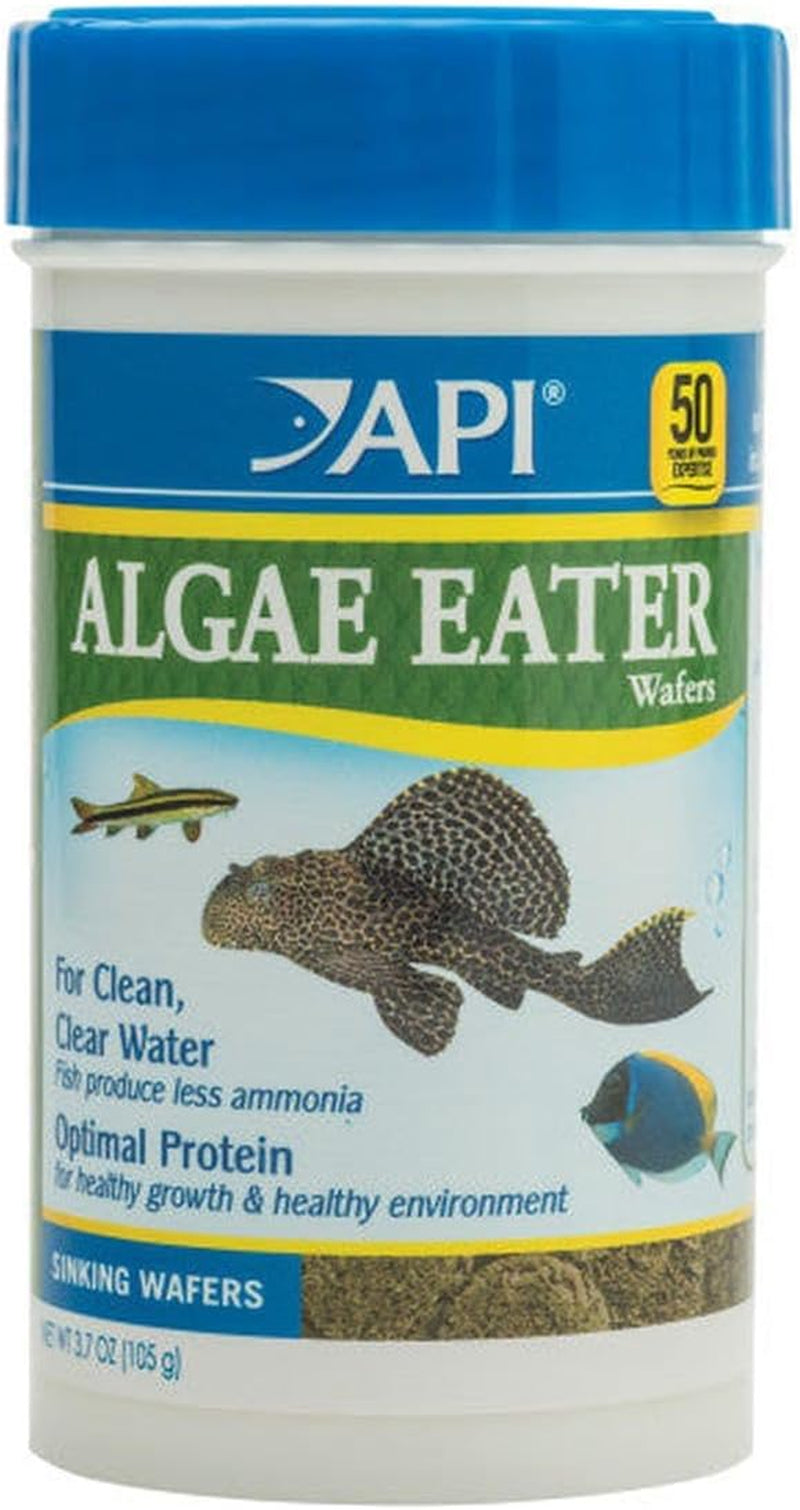 Algae Eater Wafers - 3.7 Ounce Container of Algae Fish Food