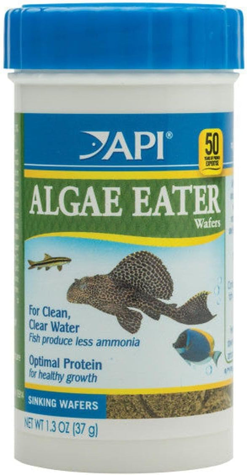 Algae Eater Wafers - 3.7 Ounce Container of Algae Fish Food