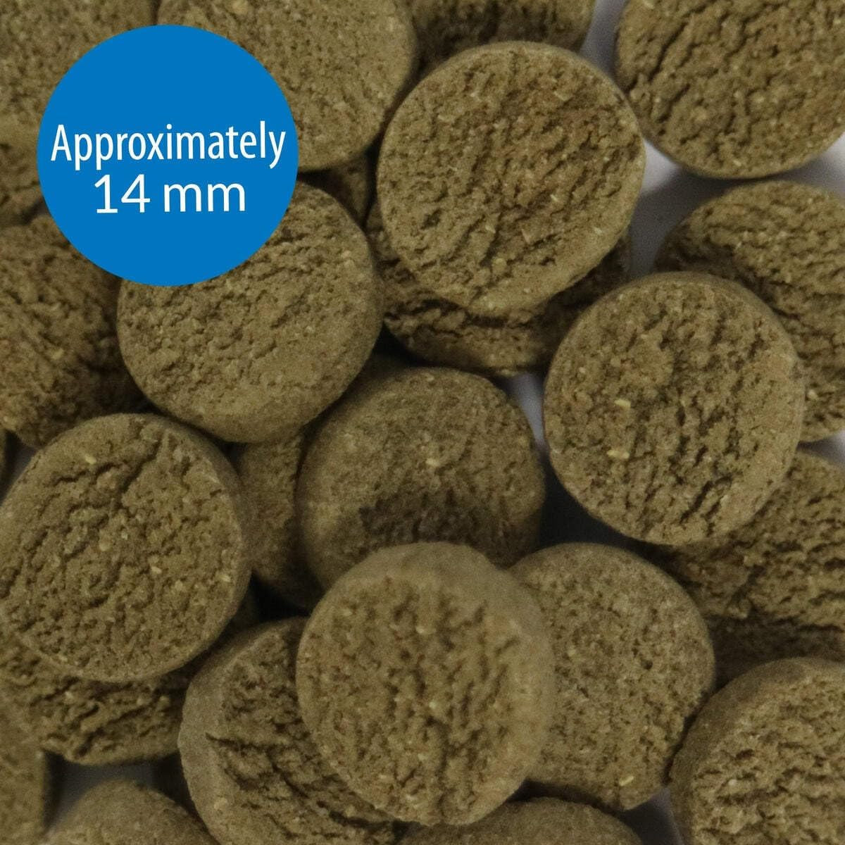 Algae Eater Wafers - 3.7 Ounce Container of Algae Fish Food