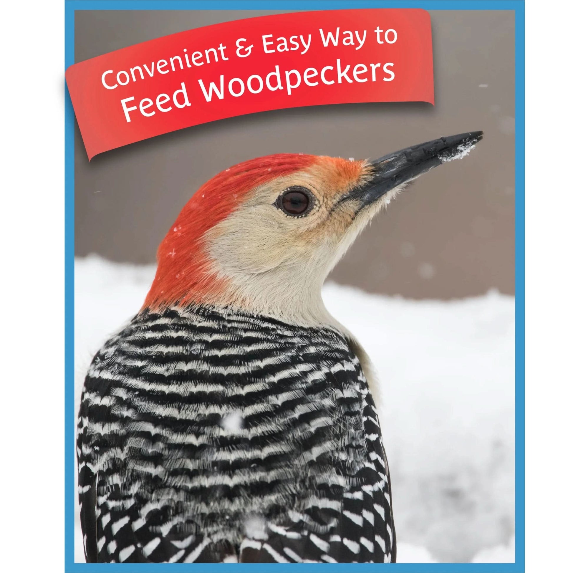 Woodpecker Bar Wild Dry Bird Feed and Seed Cake, 11 Oz., 1 Pack