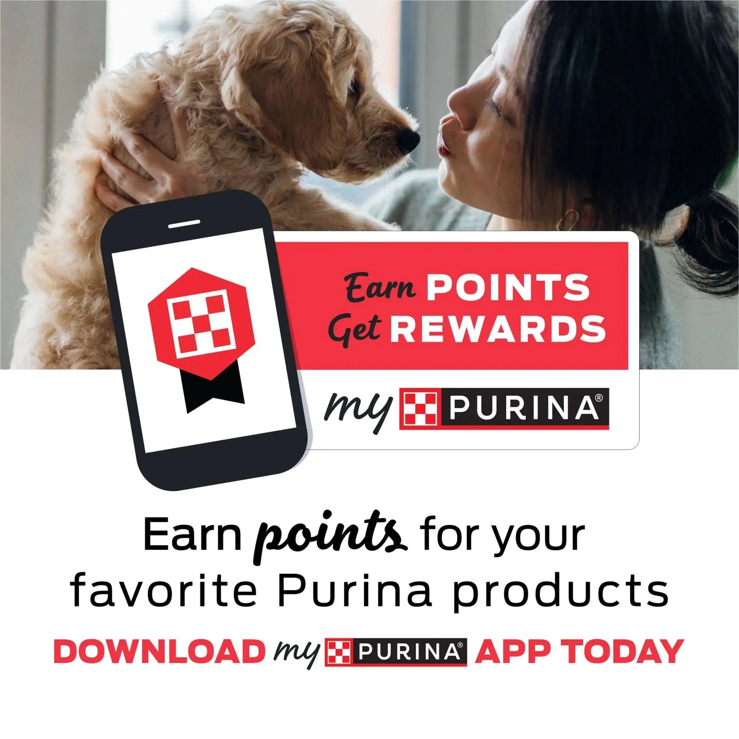 Purina  30-70+ Lbs Dog Treats Original Pork, Long-Lasting Chews, 21 Oz Pouch (6 Count)