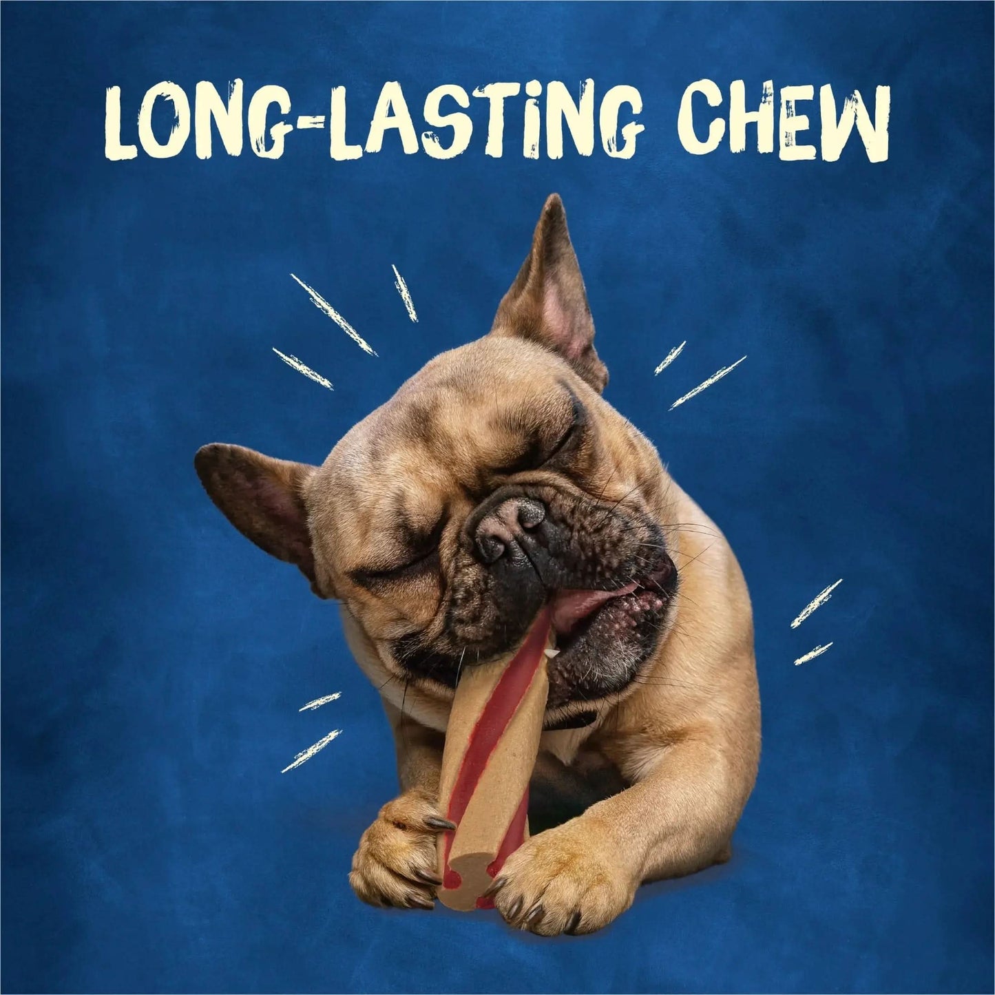 Purina  with Beggin' Twist'D Small Dog Treats with Bacon Chews, 20.2 Oz Pouch (12 Count)