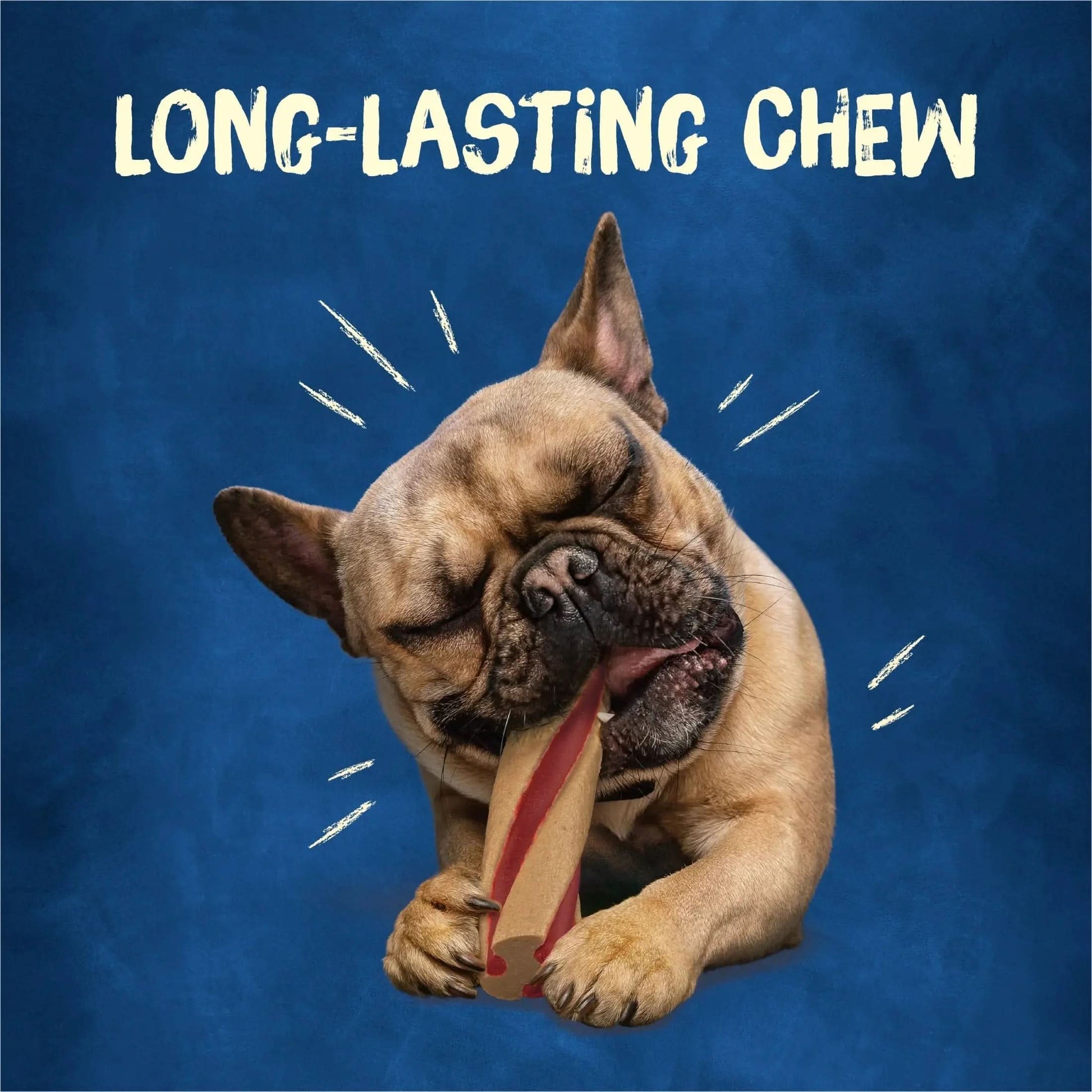 Purina  with Beggin' Twist'D Small Dog Treats with Bacon Chews, 20.2 Oz Pouch (12 Count)