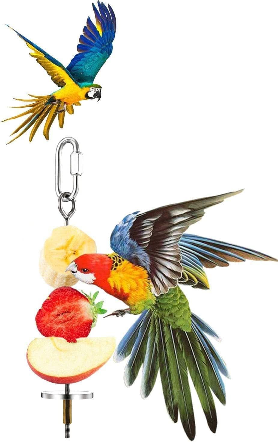 Stainless Steel Fruit and Vegetable Holder for Birds and Small Animals - Foraging Toy and Treat Skewer (#1)