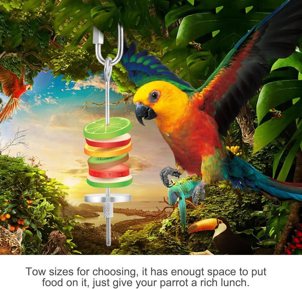 Stainless Steel Fruit and Vegetable Holder for Birds and Small Animals - Foraging Toy and Treat Skewer (#1)