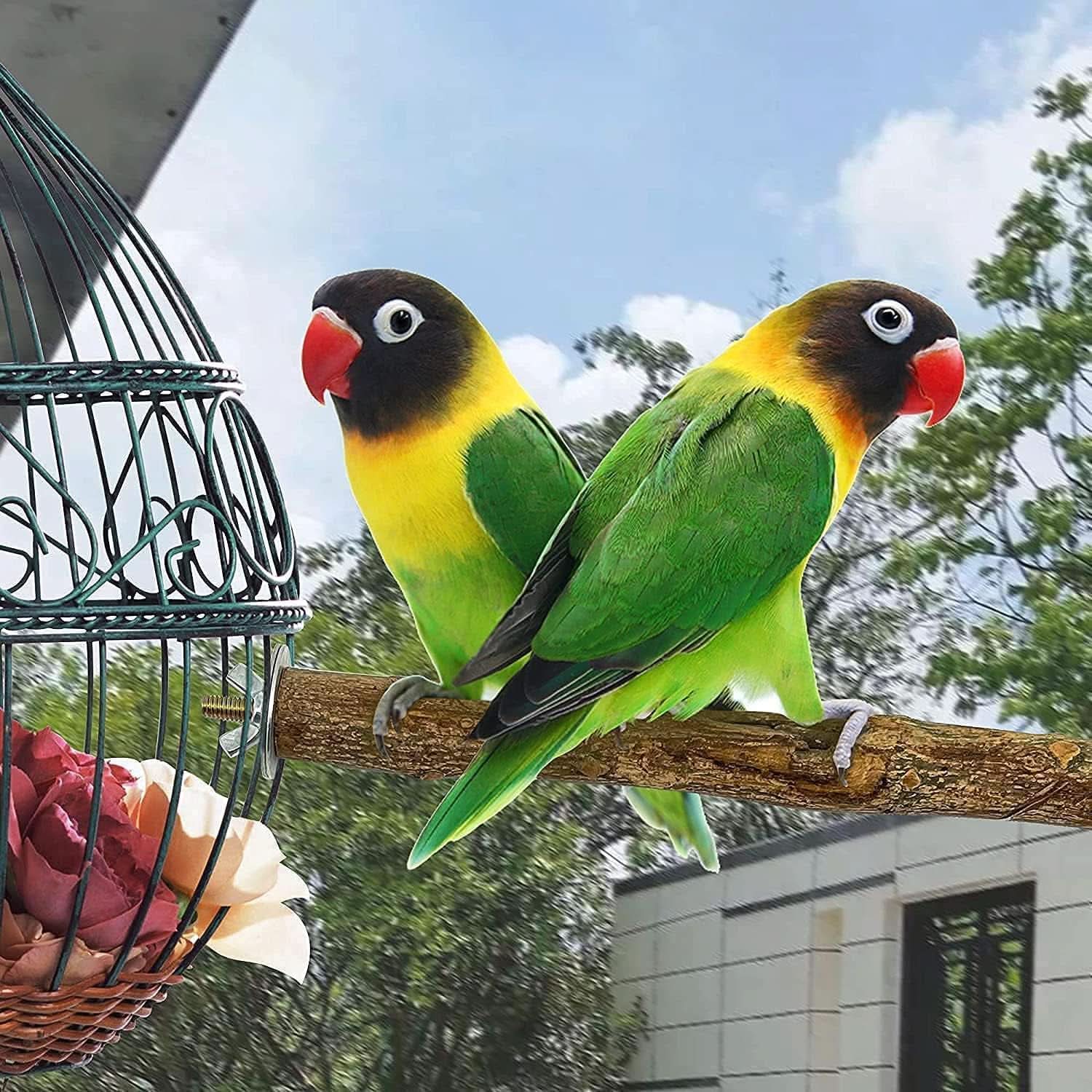 Stainless Steel Fruit and Vegetable Holder for Birds and Small Animals - Foraging Toy and Treat Skewer (#1)